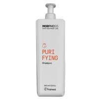 Framesi Morphosis Purifying Shampoo New 1000 мл: в корзину A03551 Цена мастера